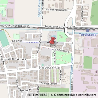 Mappa Viale Roma, 9C, 33050 Torviscosa UD, Italia, 33050 Torviscosa, Udine (Friuli-Venezia Giulia)