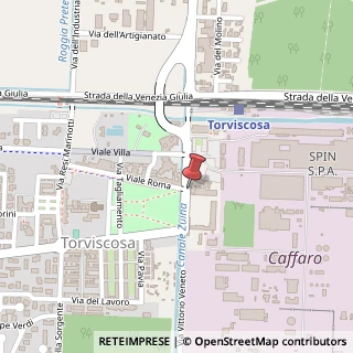 Mappa Via Vittorio Veneto, 4, 33050 Torviscosa, Udine (Friuli-Venezia Giulia)