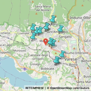 Mappa Via Paolo Vergani, 21100 Varese VA, Italia (1.45538)