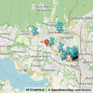 Mappa Via Paolo Vergani, 21100 Varese VA, Italia (2.214)