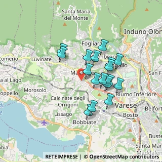 Mappa Via Paolo Vergani, 21100 Varese VA, Italia (1.43)
