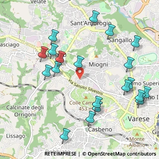 Mappa Via Fratelli Bandiera, 21100 Varese VA, Italia (1.2195)