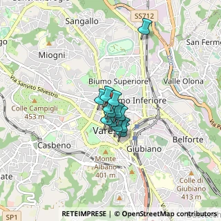 Mappa Via San Martino Della Battaglia, 21100 Varese VA, Italia (0.42462)