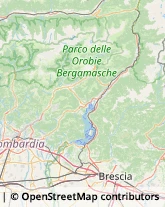 Elettrauto Gandino,24024Bergamo