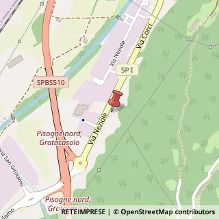 Mappa Localita' neziole 25, 25055 Pisogne, Brescia (Lombardia)