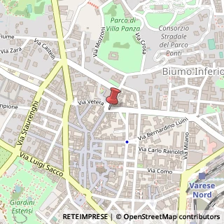 Mappa Via Vincenzo Dandolo, 4, 21100 Varese, Varese (Lombardia)