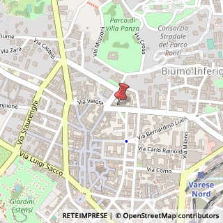 Mappa Via Vincenzo Dandolo, 5, 21100 Varese, Varese (Lombardia)
