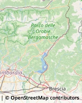 Erboristerie Casazza,24060Bergamo