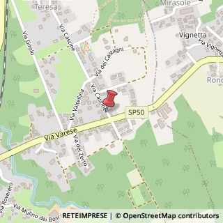 Mappa Via Cascine, 32, 21027 Ispra, Varese (Lombardia)