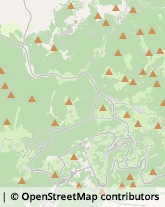 Amministrazioni Immobiliari Asiago,36012Vicenza