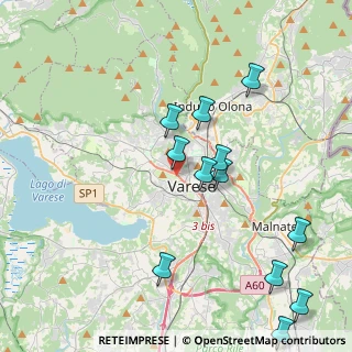 Mappa Strada Statale 394 del Verbano Orientale, 21100 Varese VA, Italia (4.46)