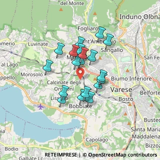 Mappa Via della Fornace, 21100 Varese VA, Italia (1.32737)