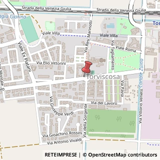 Mappa Viale Guglielmo Marconi, 201, 33050 Torviscosa, Udine (Friuli-Venezia Giulia)