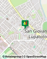 Via Ca' dei Sordi, 31,37057San Giovanni Lupatoto