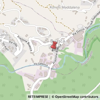 Mappa Frazione Gallenca Ottini, 13, 10080 San Colombano Belmonte, Torino (Piemonte)