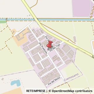 Mappa Via dei Tigli, 10, 26010 Cremosano, Cremona (Lombardia)