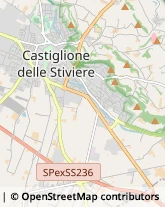 Alimentari Castiglione delle Stiviere,46043Mantova