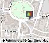 Trasporti,36045Vicenza