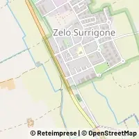 Map Zelo Surrigone