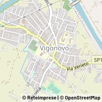 지도 Vigonovo