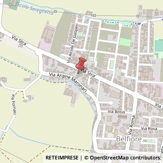 Mappa Via Argine Maronari, 16F, 37050 Belfiore, Verona (Veneto)
