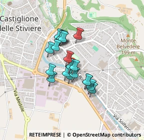 Mappa Viale H. Dunant, 46043 Castiglione delle Stiviere MN, Italia (0.2935)