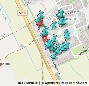 Mappa Via Provinciale, 20080 Zelo Surrigone MI, Italia (0.18929)