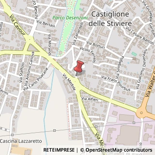 Mappa VIALE MAIFRENI, 45, 46043 Castiglione delle Stiviere, Mantova (Lombardia)
