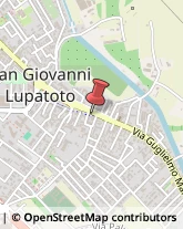 Piazza Umberto I, 132,37057San Giovanni Lupatoto