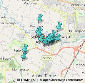 Mappa Via Veronese, 35030 Selvazzano Dentro PD, Italia (0.98765)