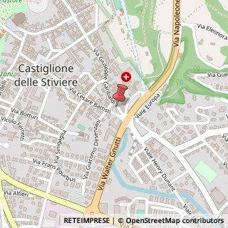Mappa Via Giuseppe Garibaldi, 92, 46043 Castiglione delle Stiviere, Mantova (Lombardia)
