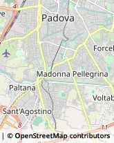 Ostetriche Padova,35131Padova