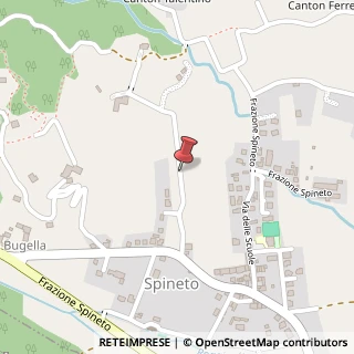 Mappa Frazione spineto, 10081 Castellamonte, Torino (Piemonte)