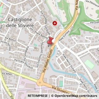 Mappa Via Gnutti Walter, 8/A, 46043 Castiglione delle Stiviere, Mantova (Lombardia)