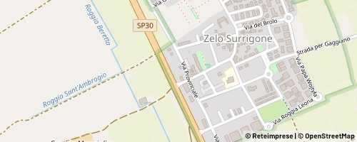 Mappa Zelo Surrigone