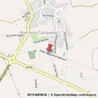 Mappa Viale Marconi, 28, 10090 Romano Canavese, Torino (Piemonte)