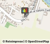 Autofficine e Centri Assistenza,35142Padova