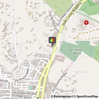 Palestre e Centri Fitness Piazza Armerina,94015Enna