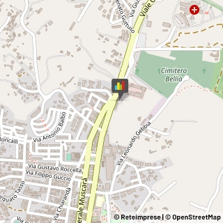 Palestre e Centri Fitness Piazza Armerina,94015Enna