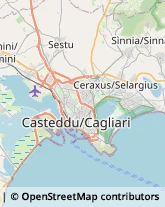 Articoli per Ortopedia Cagliari,09129Cagliari