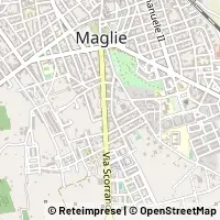 Carte Maglie