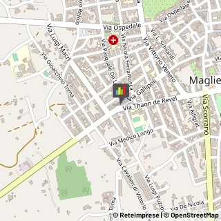 Palestre e Centri Fitness,73024Lecce