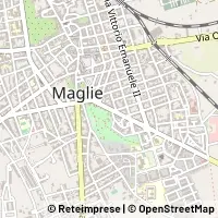 Kort Maglie