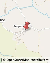 Via Trepellice, 44,10067Vigone