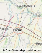 Gelaterie Parma,43123Parma