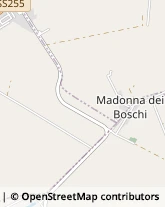 Via Madonna Boschi, 43,44049Vigarano Mainarda