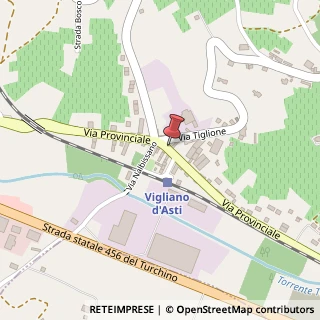 Mappa Via Provinciale, 52, 14040 Vigliano d'Asti, Asti (Piemonte)