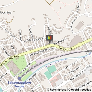 Pedagogia - Studi e Centri Salsomaggiore Terme,43039Parma