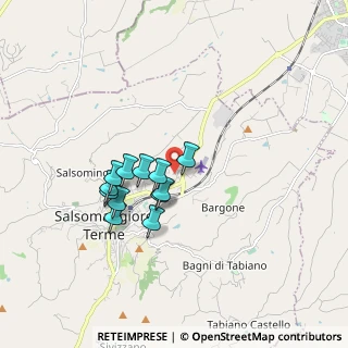 Mappa Via Parma, 43039 Salsomaggiore Terme PR, Italia (1.3875)