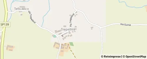 Mappa Vigone